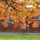 Illustration for article titled 2019-10-20 Looking for Fall Colours Around Downtown Kingston